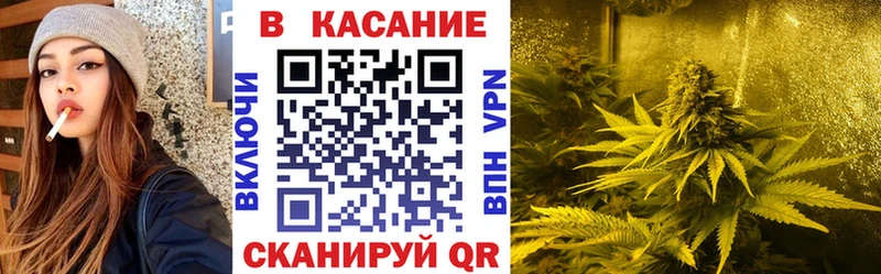 Галлюциногенные грибы Асино