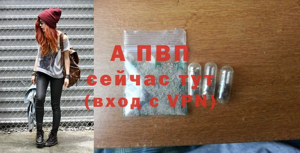 молекула духа Мегион