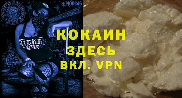 молекула духа Мегион