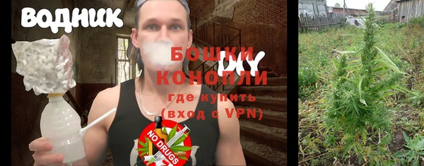 молекула духа Мегион