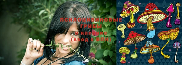 молекула духа Мегион