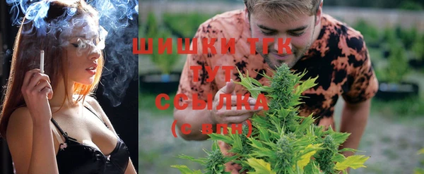 молекула духа Мегион