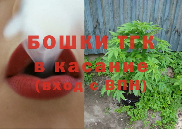 молекула духа Мегион