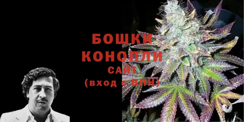 Шишки марихуана THC 21%  Асино 