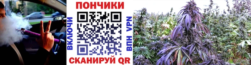 Конопля AK-47  Асино 